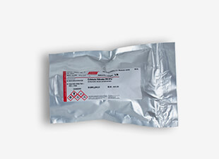 Rare Earth Actinides - Their Salts